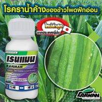 เรนแมน ไซยาโซฟามิด ขนาด 10 มิลลิลิตร กำจัดเชื้อรา ราน้ำค้าง รากเน่าโคนเน่า ไฟทอปเทอรา ใบลาย ใบจุด ใช้ในทุเรียน พืชผักทุกชนิด สูตรใหม่