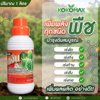 KOKOMAX  ปุ๋ยน้ำ ฉีดทางใบ เร่งต้น เร่งเขียว เร่งโต โตไว อย่างดี ช้อนเงิน สลากสีส้ม ซื้อ 5 แถม 1