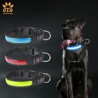 Personalise LED Glowing Dog Collar Adjustable Night Light Charging Safety Dog Collar Luminous Dog Collar Dog Christmas Present