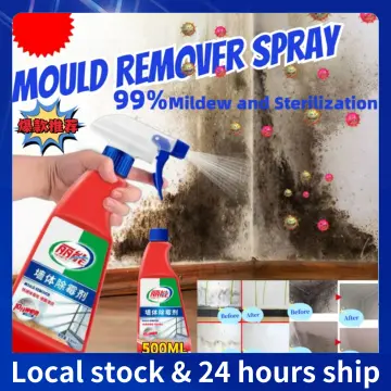 Cheap 60ml Mould Cleaning Spray Wall Mold Remover Mold Cleaning
