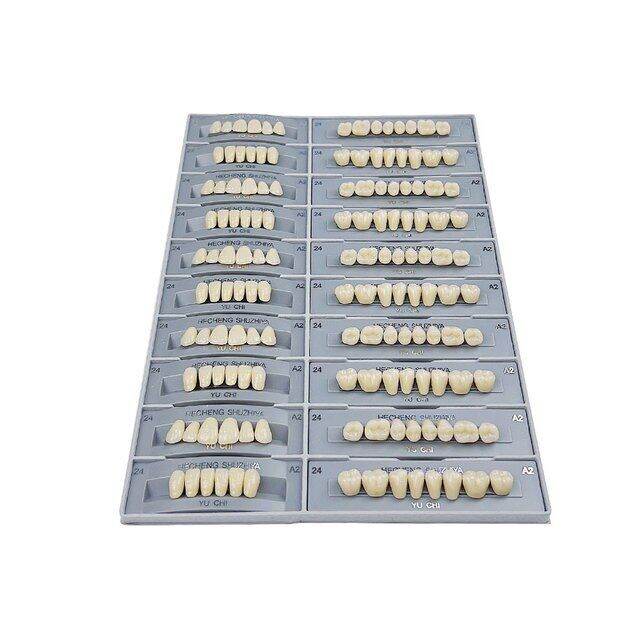 5 Sets Dental Teeth Resin Denture Dental Teeth Model Anterior Posterior
