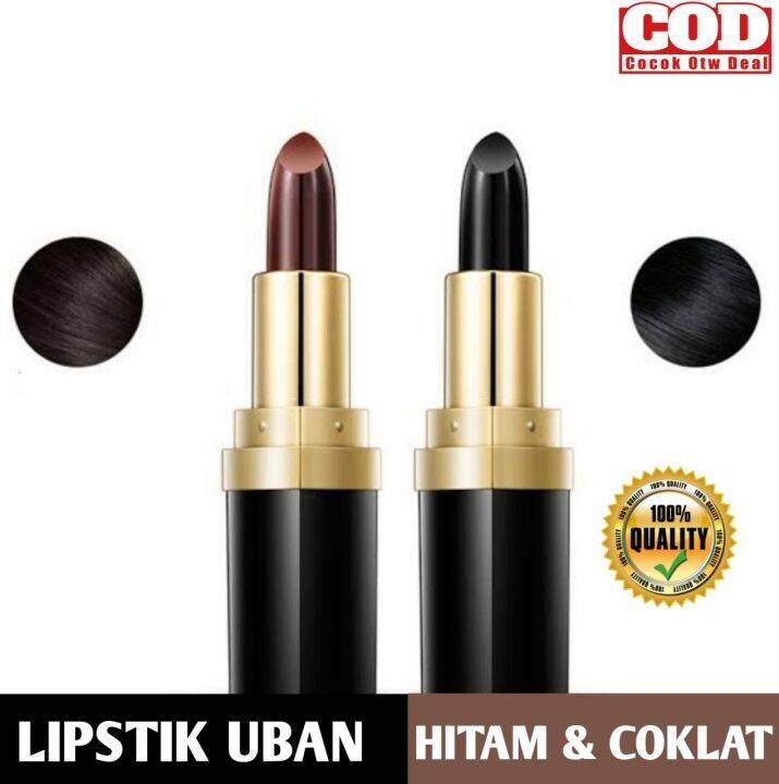 Cat Rambut / Penutup Uban Praktis Instan Hair Dye Pen Lipstik Cat