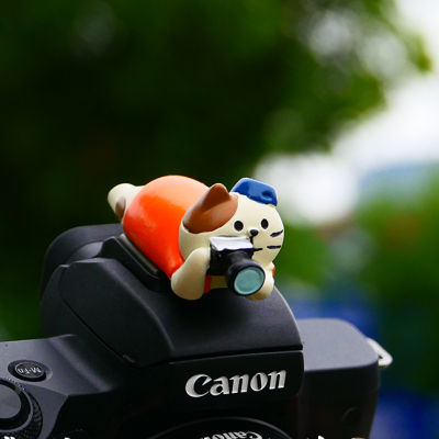 ใหม่3D การถ่ายภาพ Cat DSLR กล้องไฟฉายฝาครอบรองเท้าร้อนสำหรับ Canon Nikon Fuji Samsung Leica olympu lumixl mirrorled