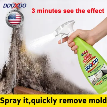 Quickly Remove Mold, Mold Remover Spray