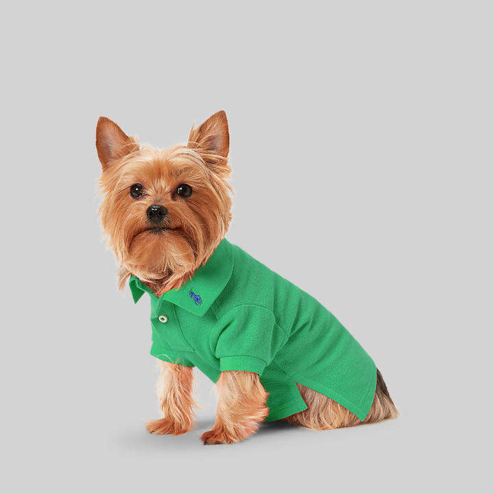 Polo Ralph Lauren ชุดสัตว์เลี้ยง PetwearCotton Mesh Dog Polo Shirt