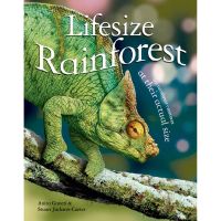One, Two, Three ! Lifesize: Rainforest หนังสือเด็ก ภาษาอังกฤษ ปกแข็ง เล่มใหญ่