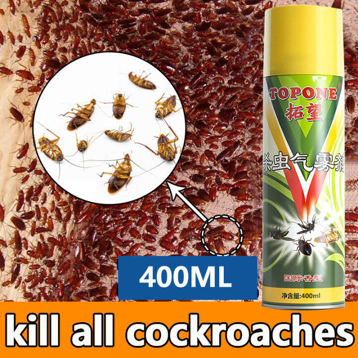 Insecticide Spray Insect Repellents Mosquito Killer Cockroach Killer