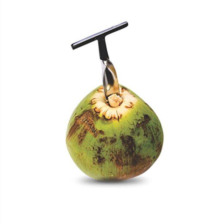 Coconut Opener Super Safe Young Coconuts Opener for Home Lazada PH