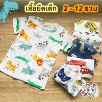 FUFU เสื้อยืดเด็ก ลายแฟชั่น อายุ 2-12 ขวบ ผ้าคอตตอน 100% แขนสั้น คอกลม ใส่สบาย สำหรับเด็กผู้ชายและเด็กผู้หญิง (THM)