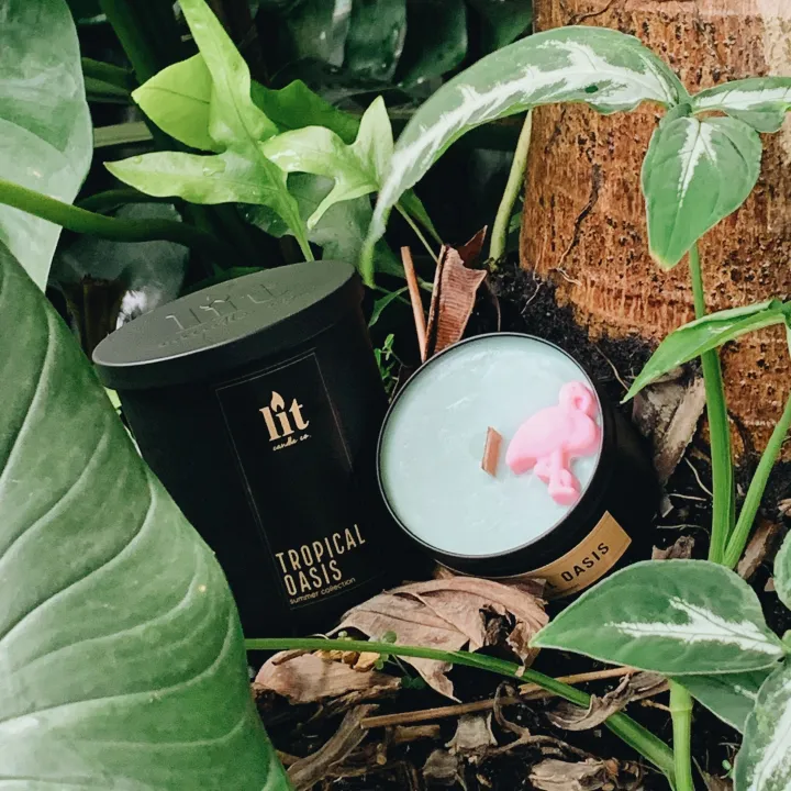 Lit Candle Co. Scented Soy Candle Tropical Oasis Lazada PH