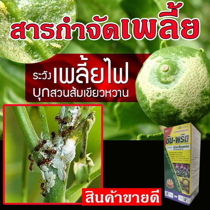 ยากำจัดเพลี้ย-กำจัดเพลี้ยหอย-ขนาด-100-cc-สารกำจัดเพลี้ย-กำจัดเพลี้ยขาว-กำจัดมด-กำจัดเพลี้ยไฟ-กำจัดเพลี้ย-สินค้าใช้ดี-พร้อมส่ง