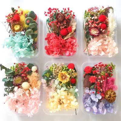 [AYIQ Flower Shop] 1กล่องดอกไม้แห้งของจริงต้นไม้แห้งสำหรับเทียนหอมอีพ็อกซี่จี้เรซิ่นอุปกรณ์ทำ DIY