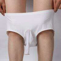 【CW】 silk triangle men with jj sets of stockings underwear without curling transparent tight-fitting large size men  39;s briefs