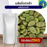 สุดยอด เมล็ดถั่วปากอ้า Broad beans อาหารนก กระต่าย หนู กระต่าย กระรอก ชูก้า และสัตว์ฟันแทะ (กระสอบ 25KG)