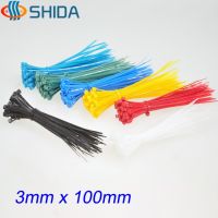 1000 pcs 3 x 100 mm Plastic Nylon Zip Ties Colorful Wire Organizer Cable Ties for Computer Wire Management Cable Management