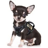 No Pull Pet Dog Harness Clothes Adjustable Puppy Cat Harness Reflective Vest Walking Outdoor For Small Dogs Chihuahua Pug