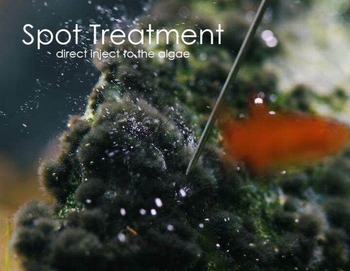 AlgaeBurn kill algae aquarium fish tank plant treatment spray Lazada