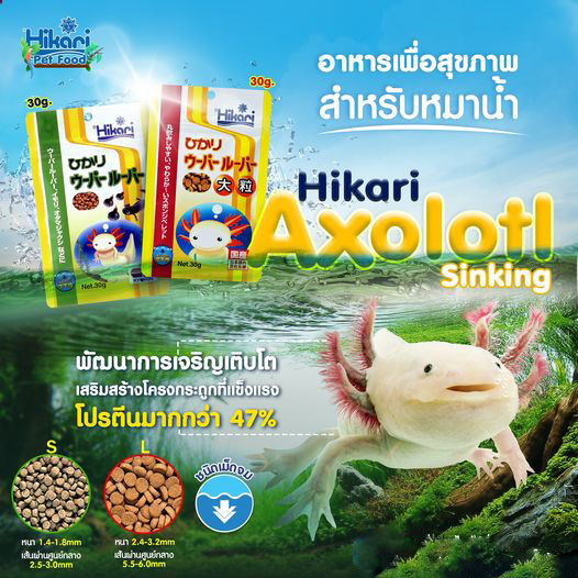 hikari-axolotl-อาหารสำหรับหมาน้ำ-ชนิดเม็ดจม-โปรตีนมากกว่า-47-นำเข้าจากประเทศญี่ปุ่น-30g