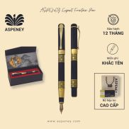 Aseney expert fountain pen