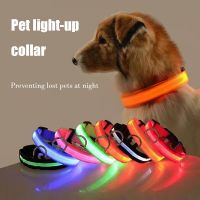 LED Light Up Collar Flashing Neon Rechargeable Adjustable Dog Walking Collar Night Time Anti-walking Pet Supplies Safety Light