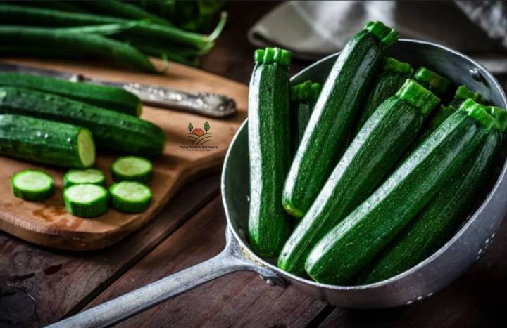 ซูกินีเขียวฮอลแลนด์-green-zucchini-holland-seeds-แตงซูกินี-ซูกินีเขียวฮอลแลนด์-เมล็ดพันธุุ์ราคาถูก-บรรรจุ-5-เมล็ด-10-บาท-ซูกินี