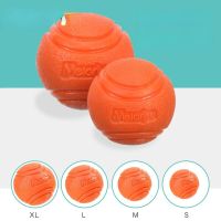 Pet Dog Toys Bouncy Ball Bite Solid Ball Rubber Bite Toy Ball Outdoor Throwing and Recovery Training Pet Toys Dog Accessories Toys