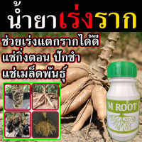 ส่งไว สุดยอด!! น้ำยาเร่งราก M Root ขนาด​ 250 ซีซี เพียงแช่กิ่ง รากขึ้นตรึม ใช้ง่าย เร่งราก ยาเร่งราก ปุ๋ยเร่งราก