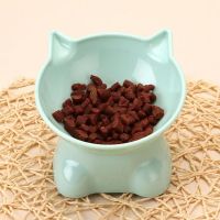 Pet Cat Bowls Elevated Tilted Raised Cat Food Bowls Cat Bowl Whisker Friendly Cat Food Bowl Cute Cat Food Dishes