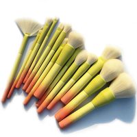 【CW】 Gradient Color 14pcs Makeup Brushes Set Soft Blending Foundation Eyeshadow Blush Make Up Tools