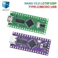 LGT8F328P-LQFP32 MiniEVB TYPE-C MICRO USB เข้ากันได้กับ ATMEGA328 Nano V3.0 LGT8F328P CH9340C / HT42B534-1 SOP16 สําหรับ Arduino