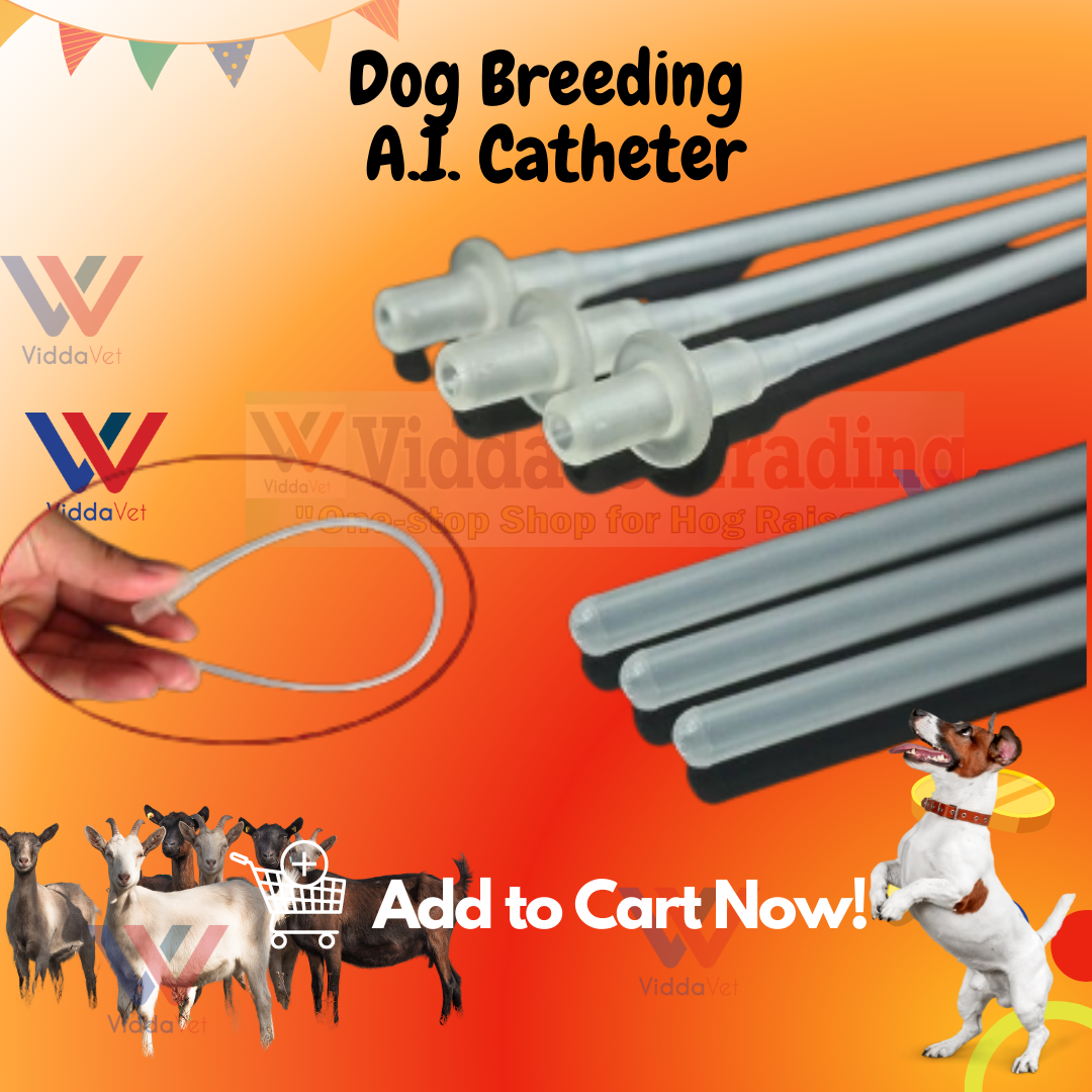 jskjlkl2019 10PCS/Set Disposable Canine Dog Sheep Artificial Insemination Breeding Catheter Tube 