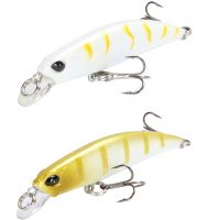 【lz】▽☒  Lentamente afundando minnow isca de pesca 65mm 4g artificial japão hard bait baixo pique wobblers crankbait carpa pesca