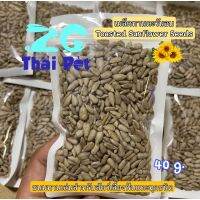 เมล็ดทานตะวัน Toasted Sunflower Seeds ? ขนมทานเล่นสำหรับสัตว์เลี้ยงฟันแทะทุกชนิด ขนาด 40 g.