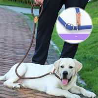 Dog Leash Slip Rope Lead Leash Heavy Duty Braided Rope Adjustable Loop Collar Training Leashes for Medium Large Dogs