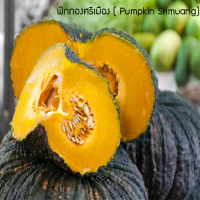 เมล็ดพันธุ์ ฟักทองศรีเมือง( Pumpkin Srimuang)  20 เมล็ด ปลูกง่าย ปลูกได้ทั่วไทย