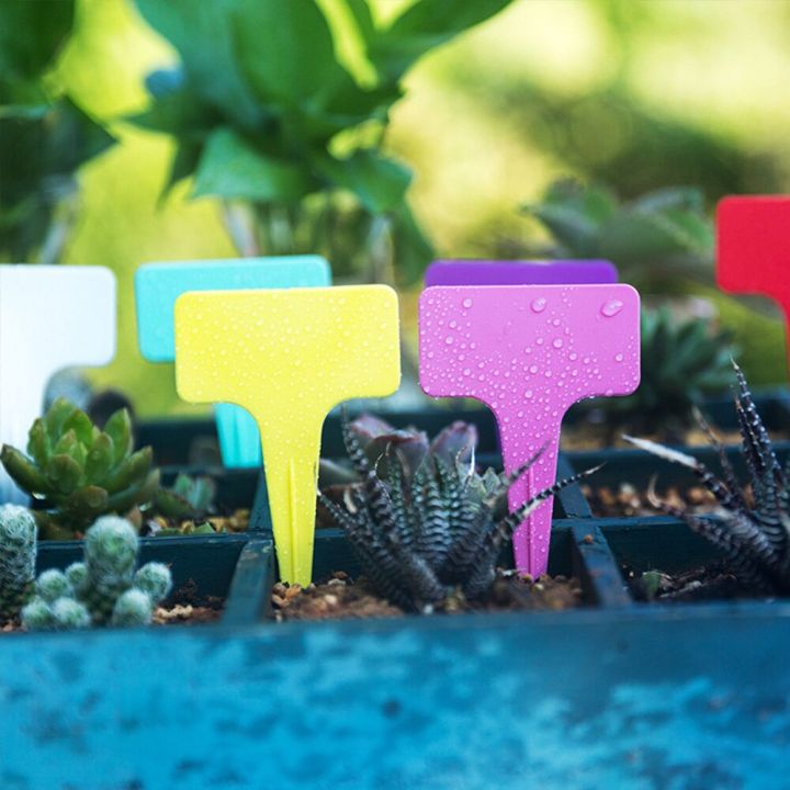 ป้ายพืชดอกรูปตัวทีกันน้ำ30-50-100ชิ้นสำหรับพืชอวบน้ำบอนไซสวนหลากสีฉลากพลาสติกเขียนการ์ด