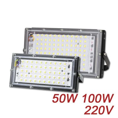 LED Spotlight 50W 100W AC 220V Refletor LED Spot Flood Light Garden Lighting Floodlight Outdoor Kitchen Street Lighting