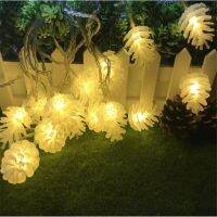 【❉HOT SALE❉】 na07037036036666 ไฟเส้น Led สีขาวอบอุ่น10ม. 50คุณภาพสูงไฟประดับสวยงามเทศกาลทรงโคนลูกสนสำหรับงานแต่งงานสวนปาร์ตี้ Luminaria