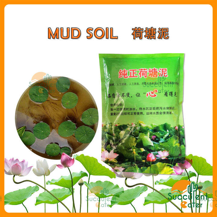 200g Lotus Water Lily Mud Soil Tanah Hydroponic Hydroponik 荷塘泥 荷花水莲水培泥土