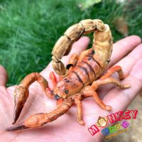 Monkey Toys - โมเดลสัตว์ Scorpion แมลงป่อง ทอง ขนาด 12.00 CM (จากหาดใหญ่)