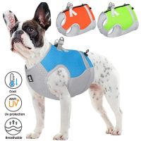 Summer Dog Cooling Vest For Small Medium Dogs Cats Harness Outdoor Reflective Uv Protection Cooler Jacket French Bulldog Costume