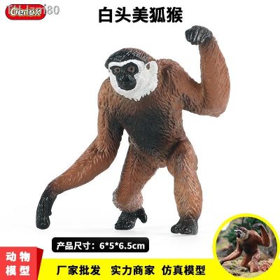 🎁 ของขวัญ Simulation toys static solid white head the lemurs wild little golden monkey Monkey King AIDS animal model