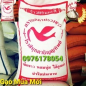 Mã 252FMCGSALE giảm 8 đơn 500K gạo tám thái  10kg  GẠO MỚI NOWSHIPT6VUIVUI