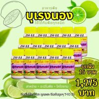 พร้อมส่ง? บุเรงนอง ขนาด 250 ซีซี. ยกลัง 15 ขวด อะมิโนพืช+สาหร่าย+ไคโตซาน+น้ำตาลทางด่วน อาหารพืช ใช้ฉีดพ่นทางใบ ฉีดพ่น ได้ทุกพืช มะนาว