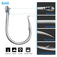 Hot Selling PRO BEROS Fishing Hook With Big Eyes Ring 1-10# High Carbon Steel Barbed Fishhook Jig Hook Carp Fishing Lure Worm Hook Pesca