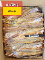 ปลาไล้กอ บางใหญ่ ปลาช่อนทะเลตากแห้ง คัดพิเศษ สินค้าขายดี??? อาหารทะเลแห้ง สดใหม่ สะอาด อร่อย ปลีก-ส่ง บรรจุ 500 กรัม (F0039)
