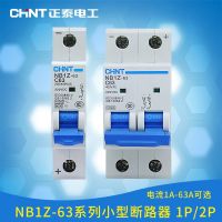 Chint Nb1z-63 1P 2P Dc เบรกเกอร์ Dc Mcb เบรกเกอร์ขนาดเล็ก Dc 12V 24V 220V สำหรับระบบสุริยะ Pv 20a 32a 40a