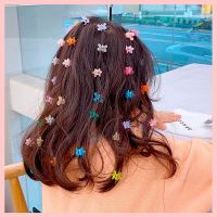 【CW】 Hair Pin Barrettes