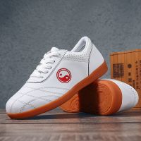 Chinese Kung Fu Shoes Breathable Shaolin Tai Chi Karate &amp; Taekwondo Sneakers Bruce Lee Wushu Shoes Women Men Kung Fu TJ-W195