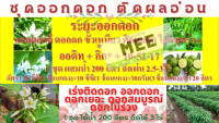 สารเร่งดอก ออกดอก ดอกดก ดอกไม่ร่วง ขั้วเหนียว ดอกสมบูรณ์ ติดทุกดอก ออกทุกช่อ พร้อมติดผล ออกลูก ออกหน่วย ชุดน้ำ200ลิตร